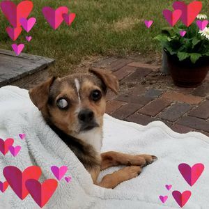 Meet your Posher, Lori